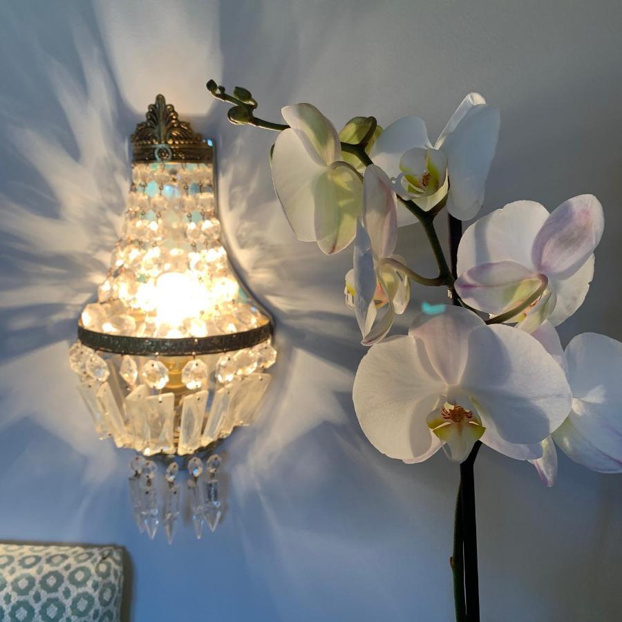 Domaine Du Plessis Bed & Breakfast Le Plessis-Luzarches Екстериор снимка